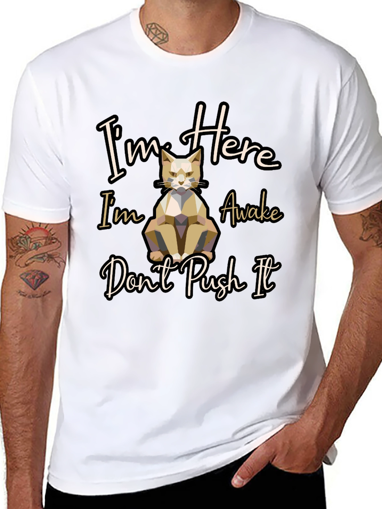 Im Here Awake Dont Push It Cat T-Shirt