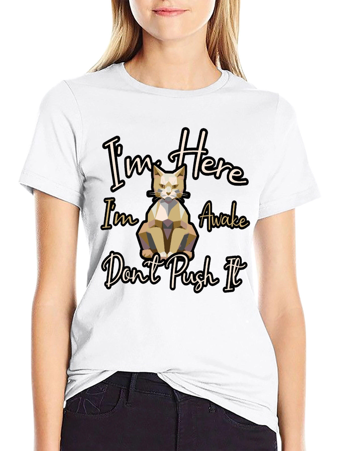 Im Here Awake Dont Push It Cat T-Shirt